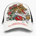 EHSTCAP_CROWN_0003
